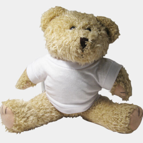 Soft Toy - Shaggy Bear Thumbnail